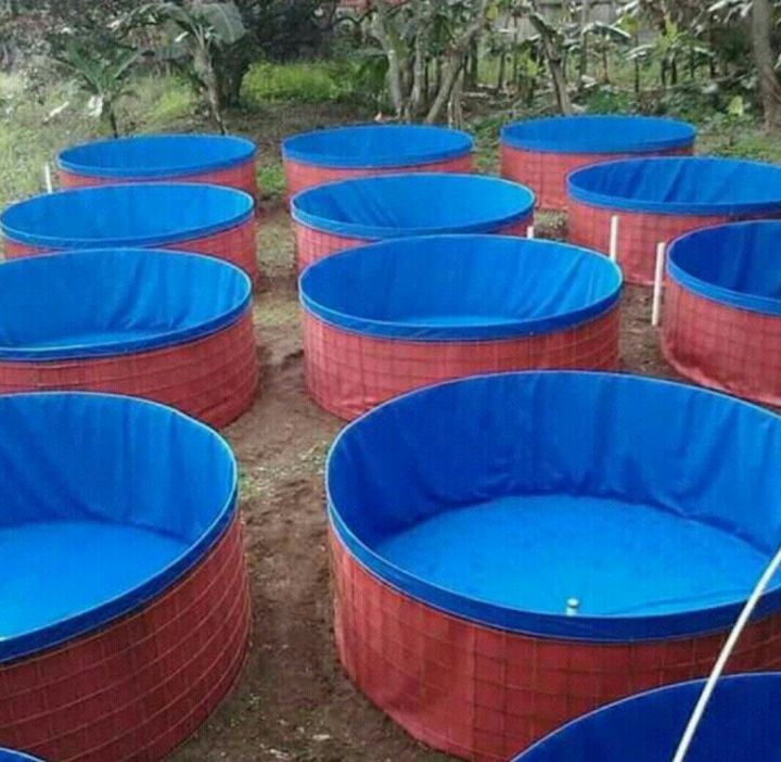Paham Sebelum Beli! 4 Jenis Terpal Kolam Ikan & Spesifikasinya