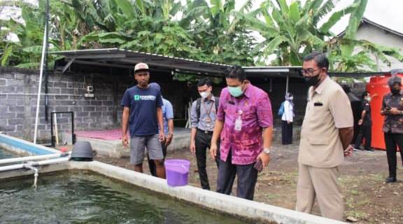 Dinas Ketahanan Pangan dan Perikanan Buleleng Lirik Budidaya Ikan Berteknologi di Lumajang
