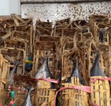 Dinas Perikanan Dorong Pengembangan Produk Ikan Pindang Melalui Pendampingan Poklahsar